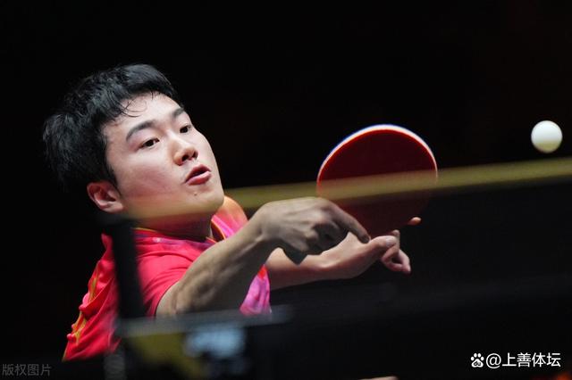 奥地利队逆转德国队,梁靖崑关键制胜 奥地利队逆转德国队,梁靖崑关键制胜