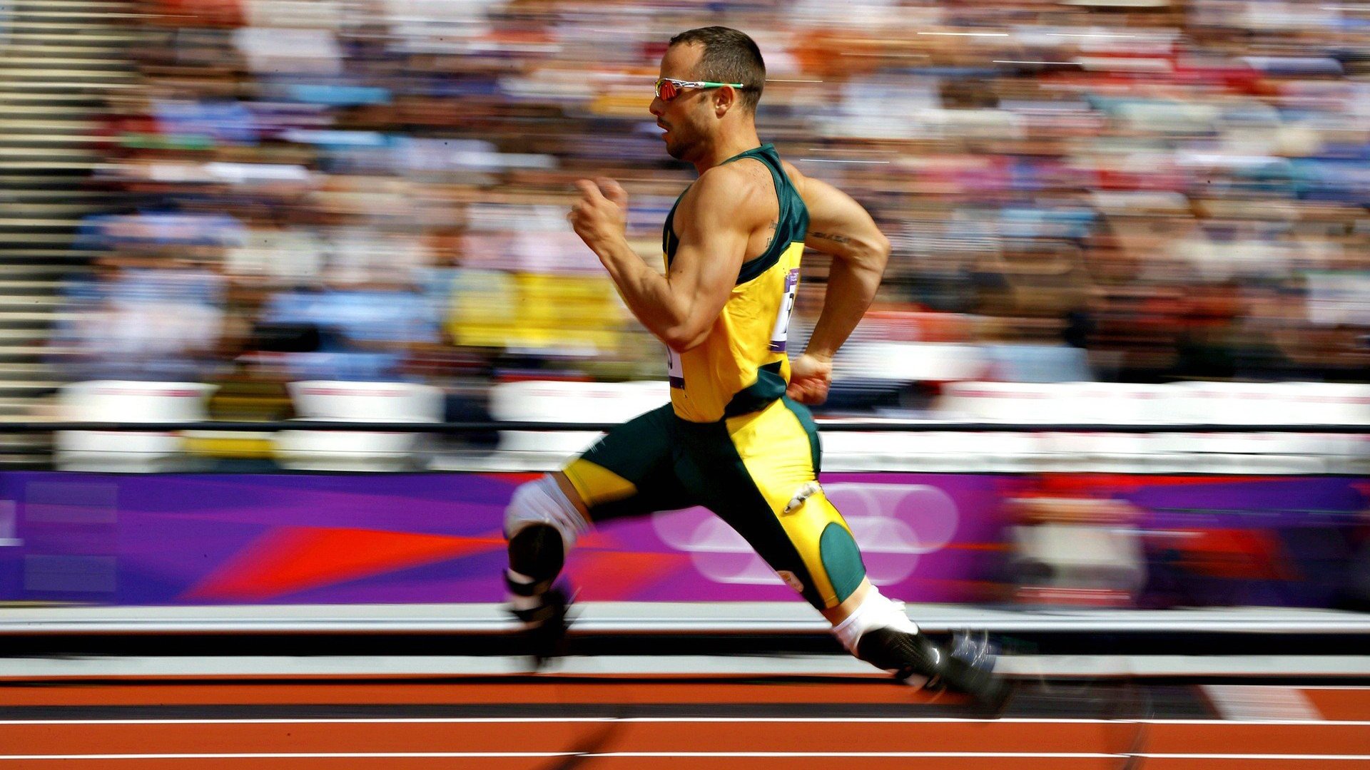 霍勒迪的无声交响,当老鹰的利爪拨动雄鹿的齿轮